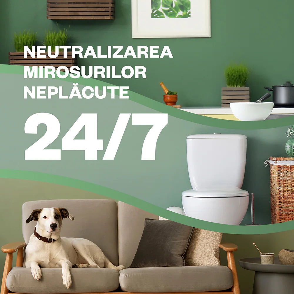 Aparat Odorizant Airwick negru +rezerva Vanilie de Sandal 250ml